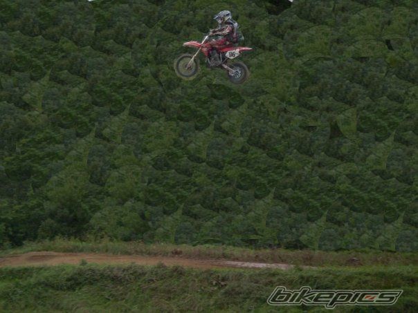 2004 HONDA CR 85 | Picture 1610451 motorcycle photo