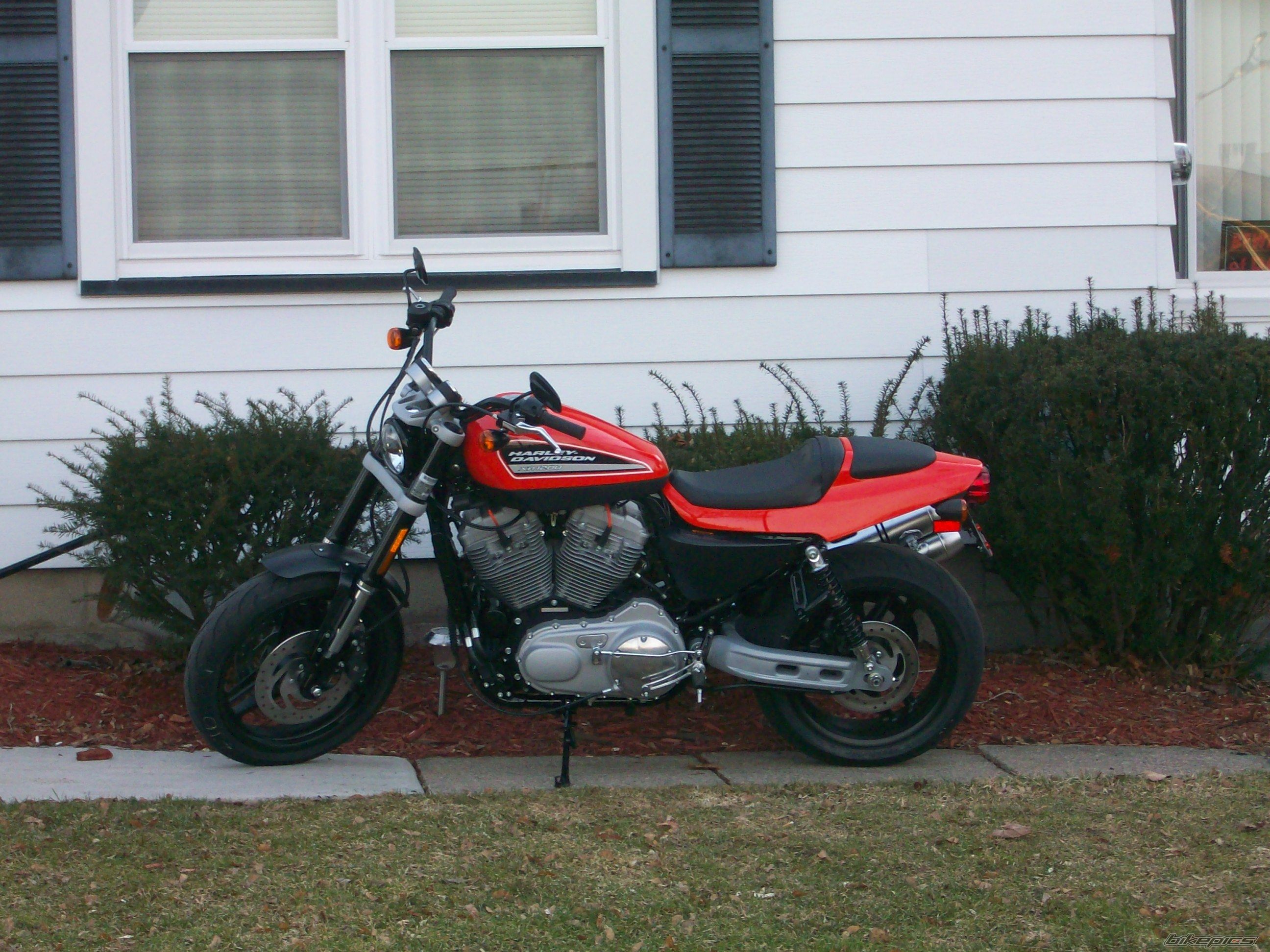 2009 HARLEY DAVIDSON XL 1200R | Picture 1610483 motorcycle photo