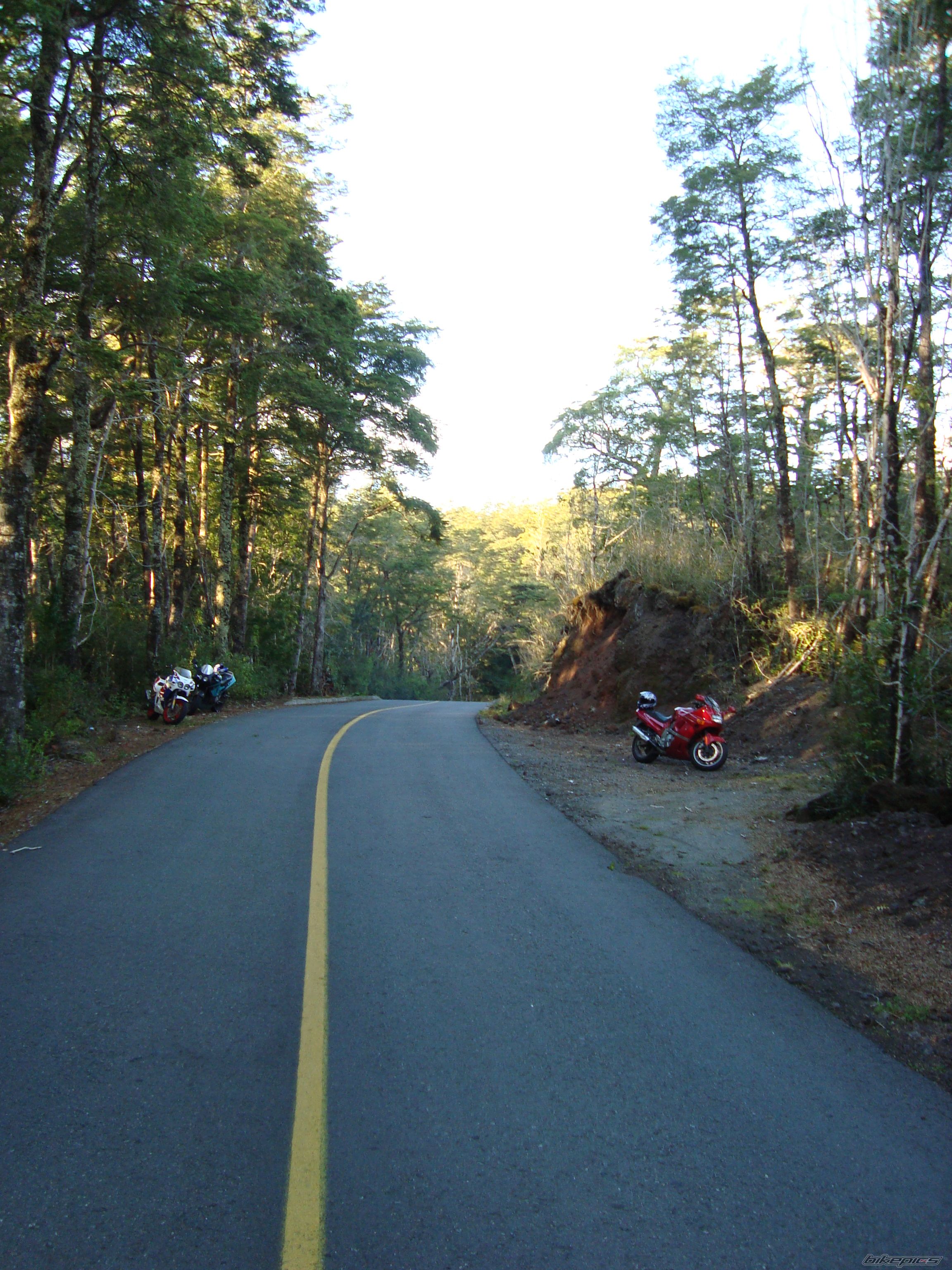 1991 KAWASAKI ZZR 400 | Picture 1610484 motorcycle photo