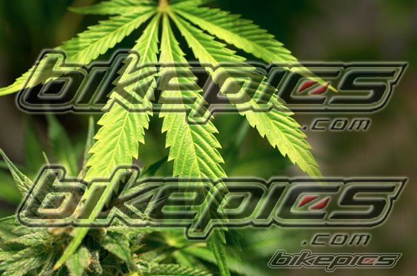    | Picture 1610762 motorcycle photo