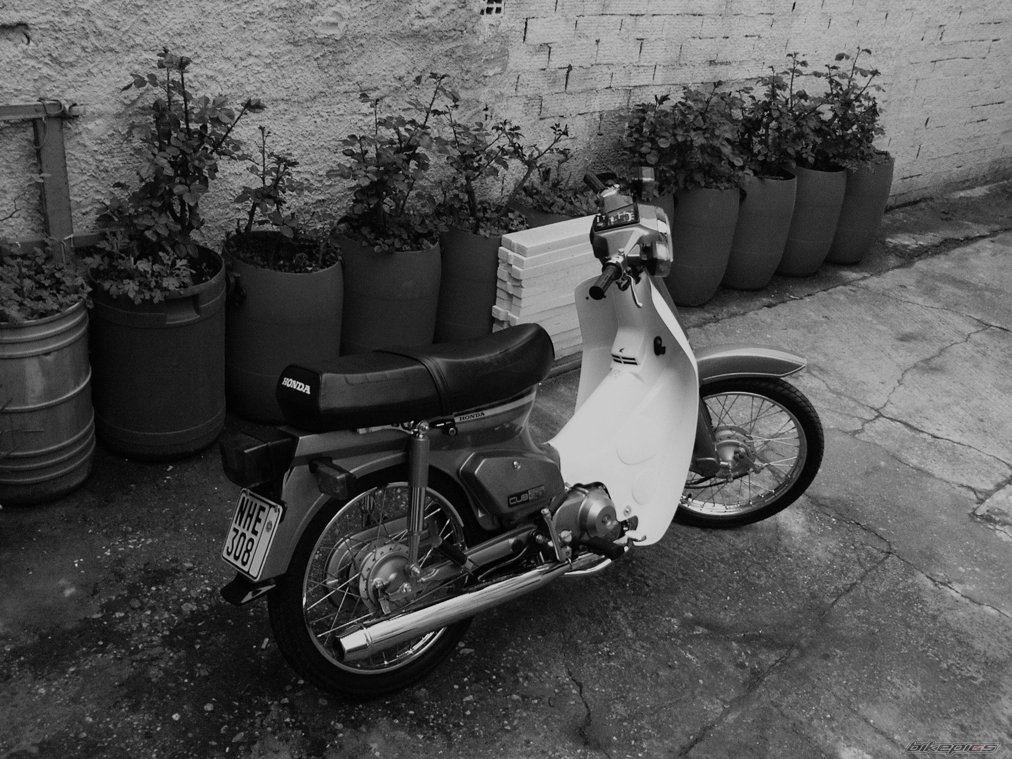 2009 HONDA C 90 | Picture 1610825 motorcycle photo