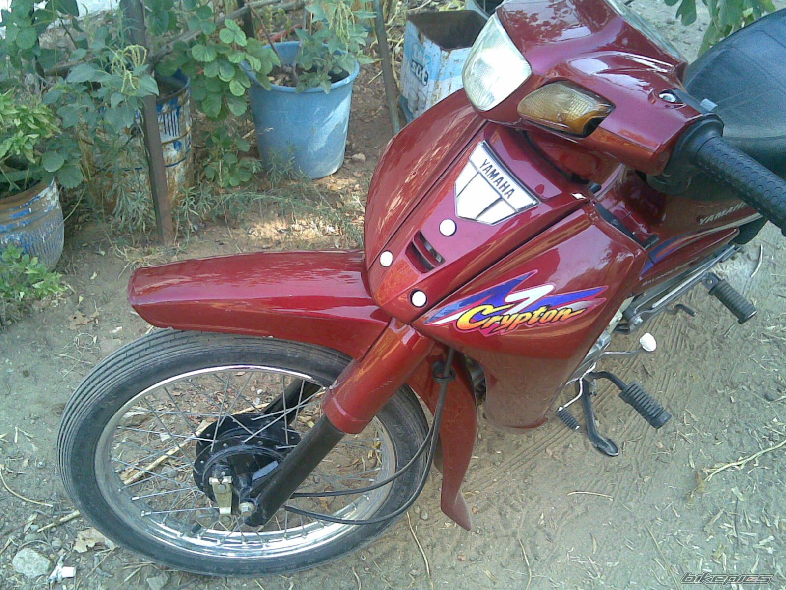 2004 YAMAHA CRYPTON R RACING | Picture 1610845 motorcycle photo