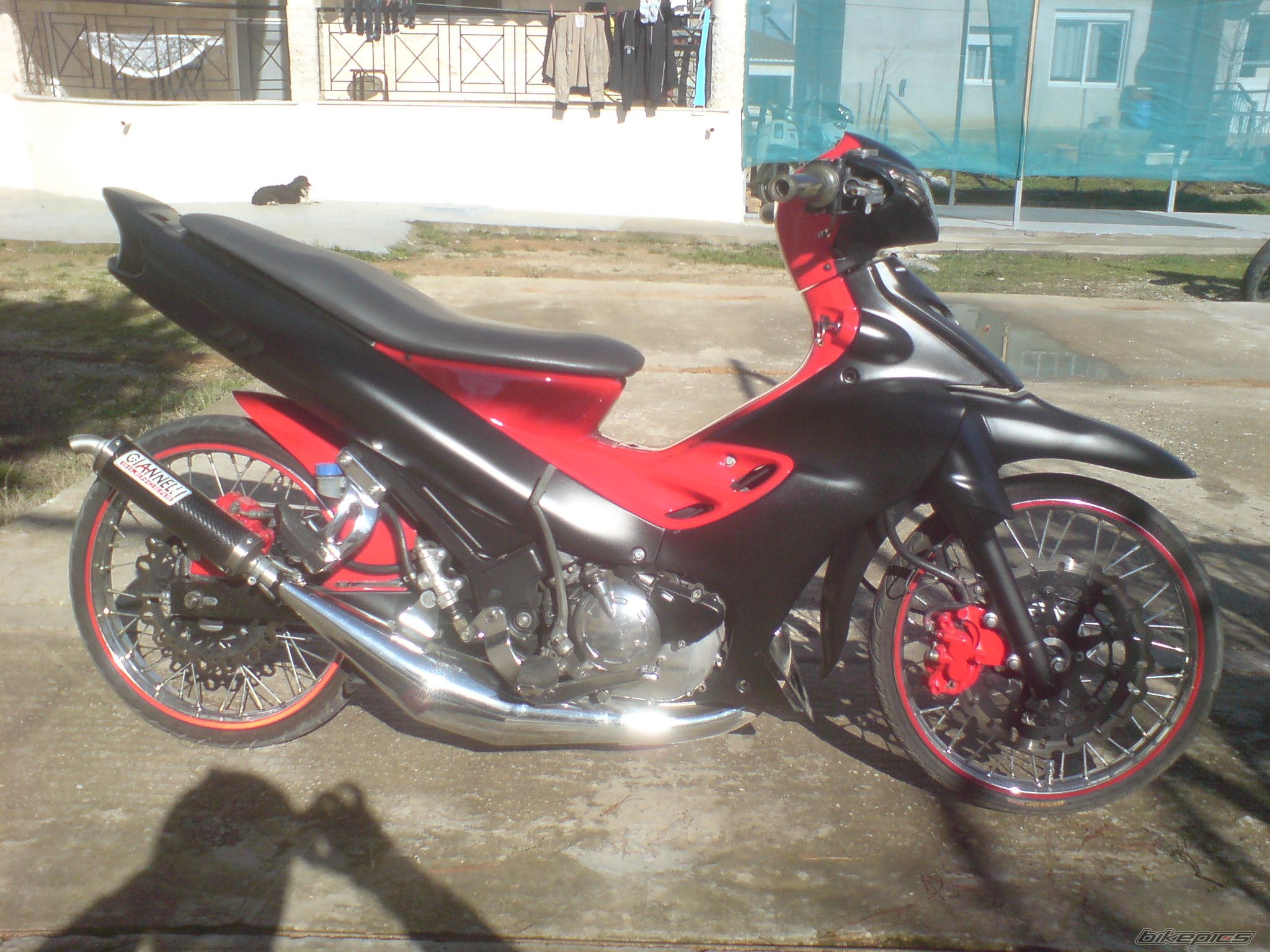 2009 YAMAHA 125 Z | Picture 1610858 motorcycle photo