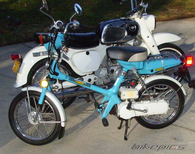 1981 HONDA EXPRESS | Picture 1611041 motorcycle photo