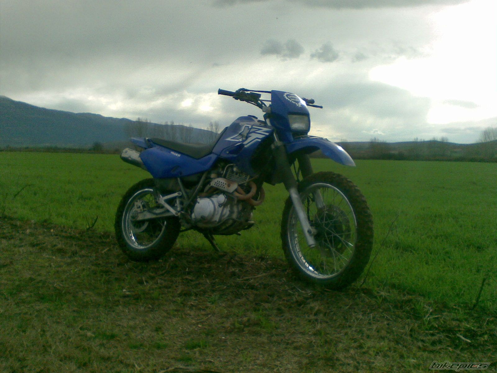 2008 YAMAHA XT 600 | Picture 1611232 motorcycle photo