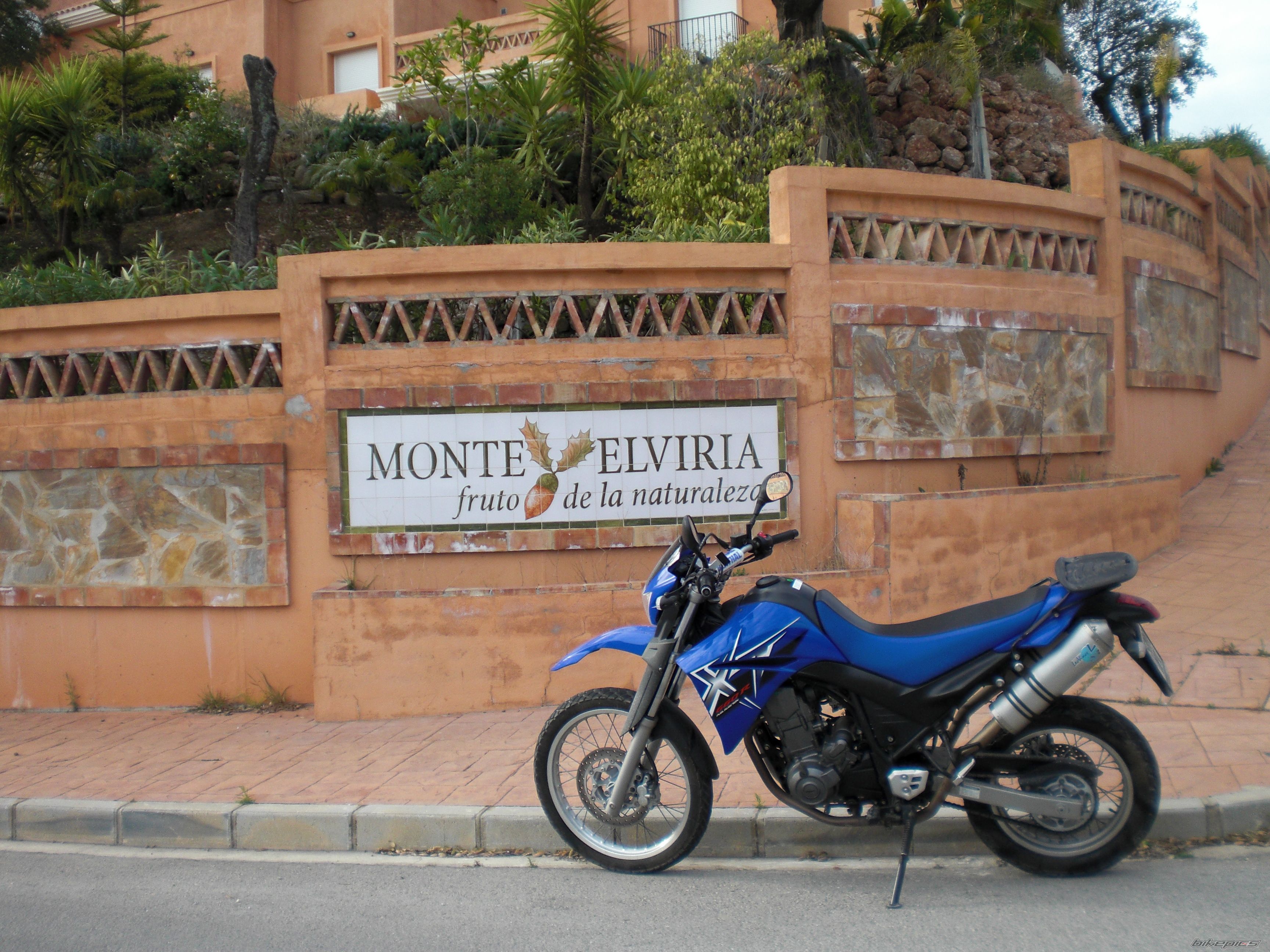 2005 YAMAHA XT 660 | Picture 1611455 motorcycle photo