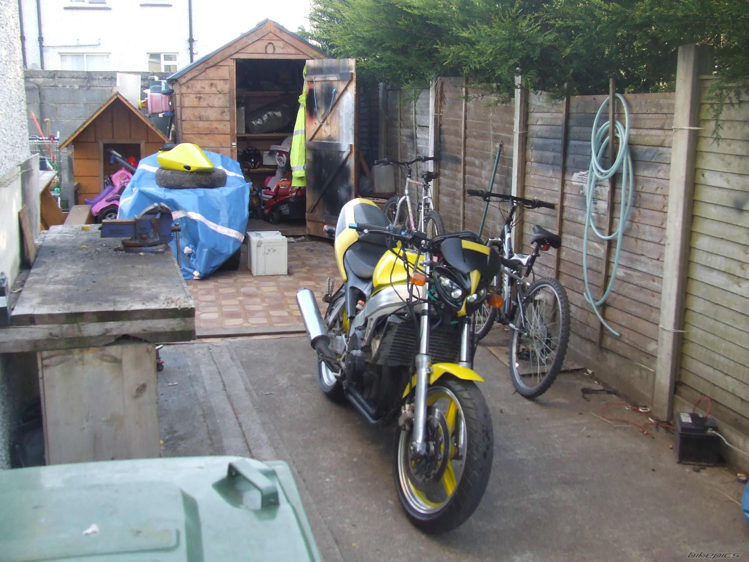 1989 HONDA CBR 250 | Picture 1612032 motorcycle photo