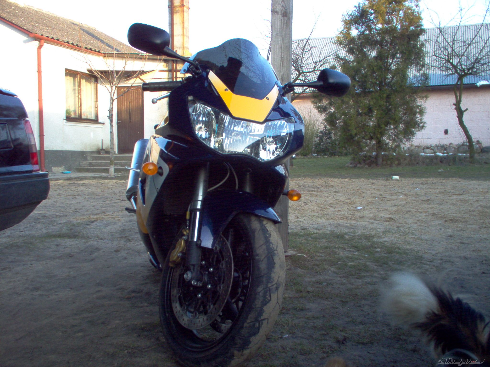 2001 HONDA CBR 900 | Picture 1612409 motorcycle photo