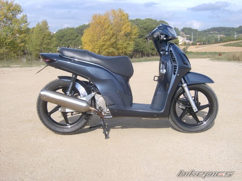 2009 HONDA SH 150 | Picture 1612496 motorcycle photo