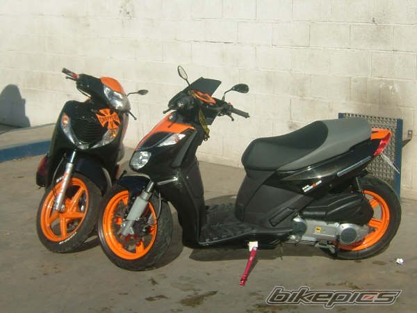 2009 HONDA SH 150 | Picture 1612509 motorcycle photo