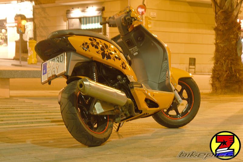 2009 HONDA SH 150 | Picture 1612521 motorcycle photo