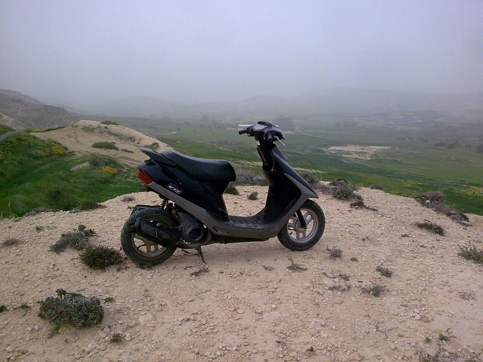 2009 HONDA CHALY | Picture 1612938 motorcycle photo