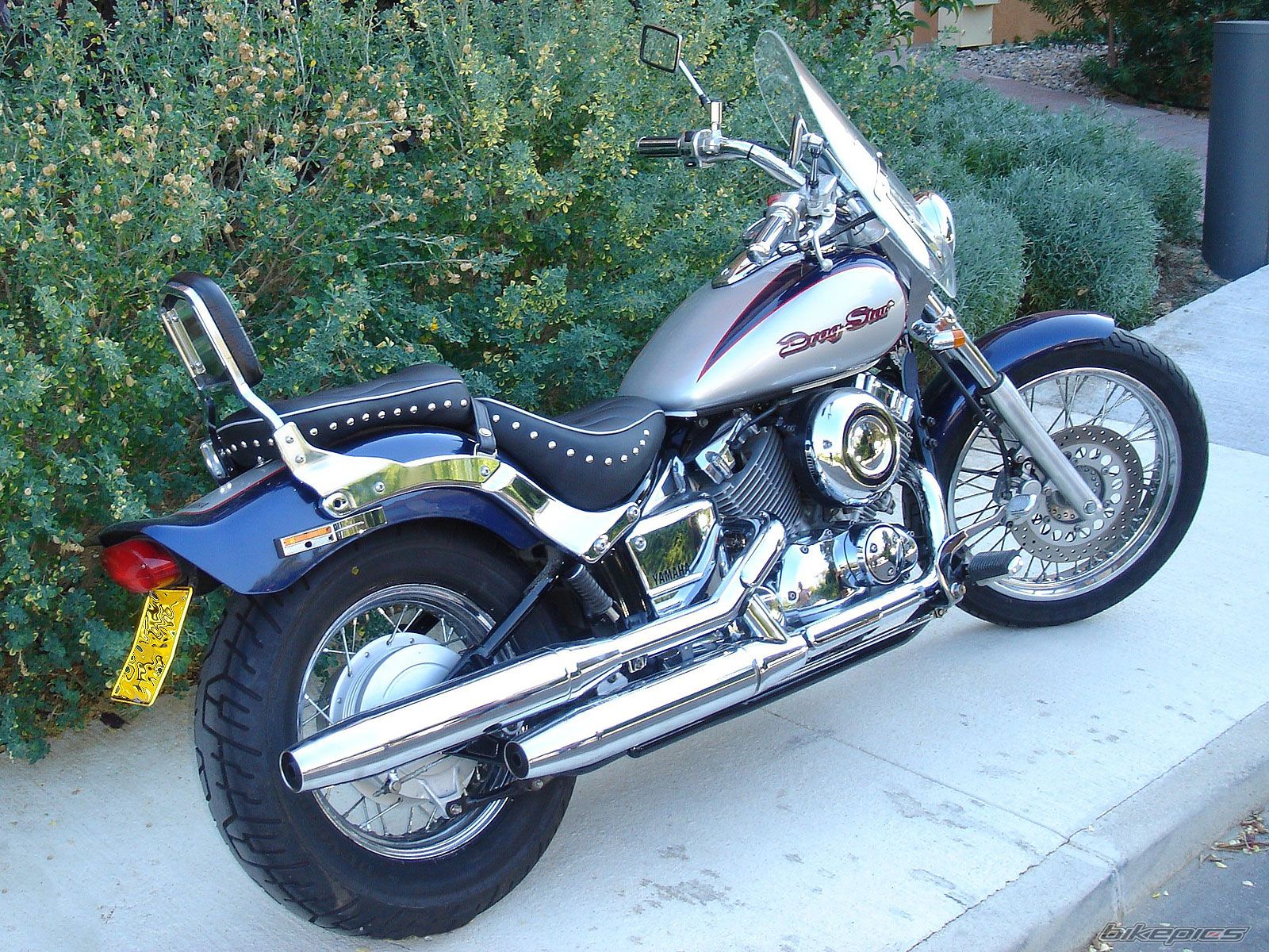 1997 YAMAHA XV DRAGSTAR 650 | Picture 1614260 motorcycle photo