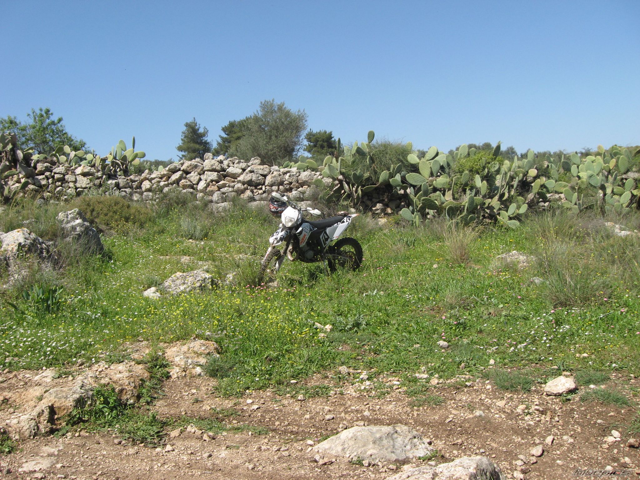 2008 KTM 125 EXC | Picture 1614425 motorcycle photo