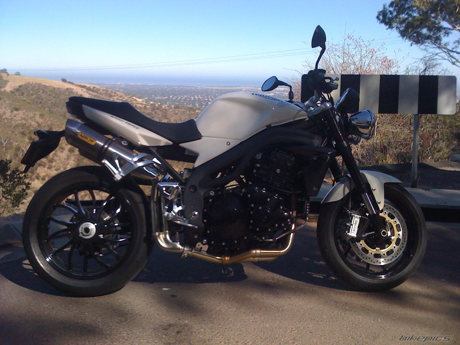 2009 TRIUMPH SPEED TRIPLE | Picture 1614801 motorcycle photo