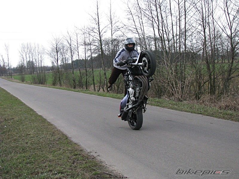 1994 HONDA CBR 600 | Picture 1614818 motorcycle photo