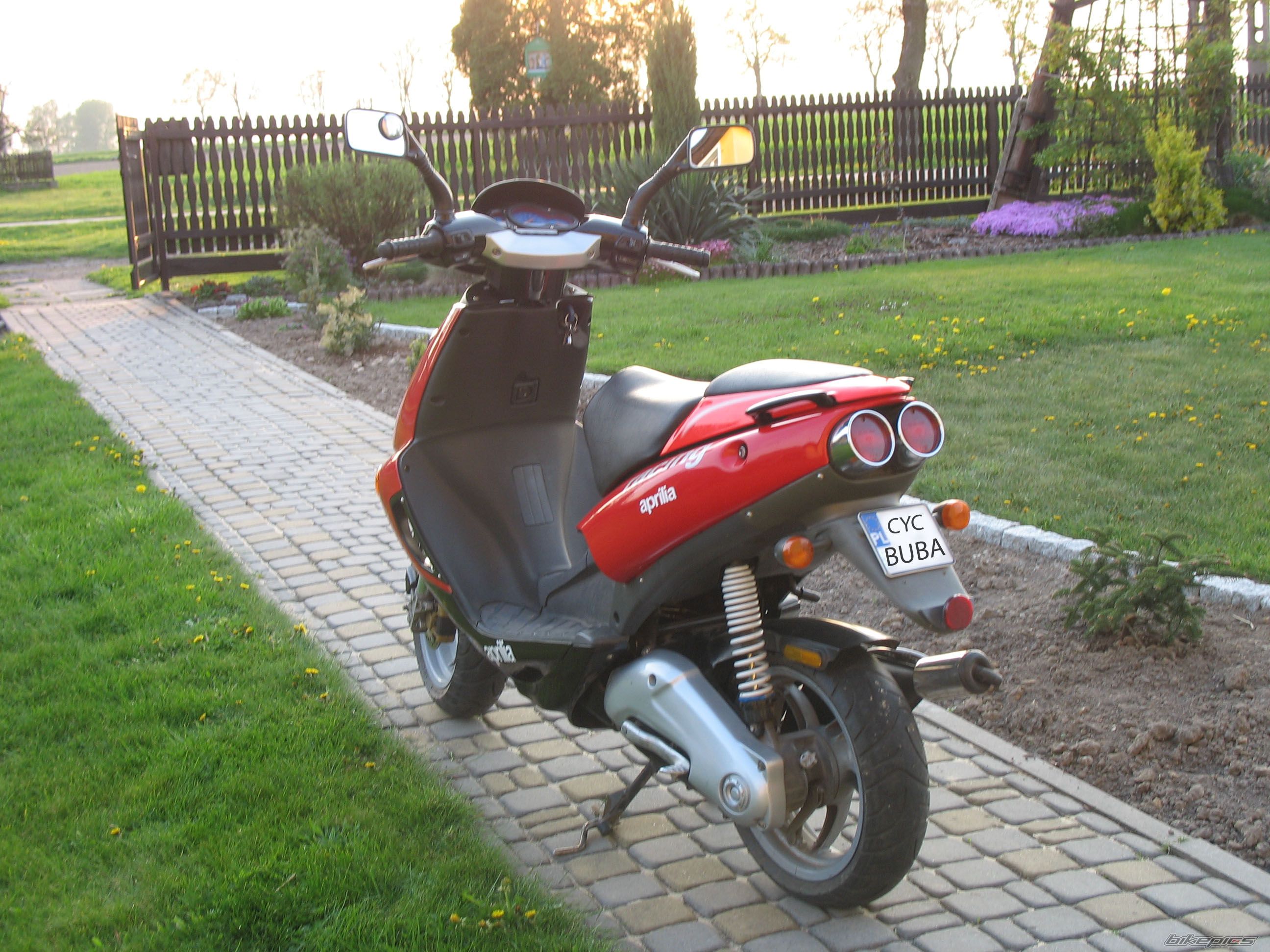 2002 APRILIA SR RACING 50 | Picture 1615950 motorcycle photo