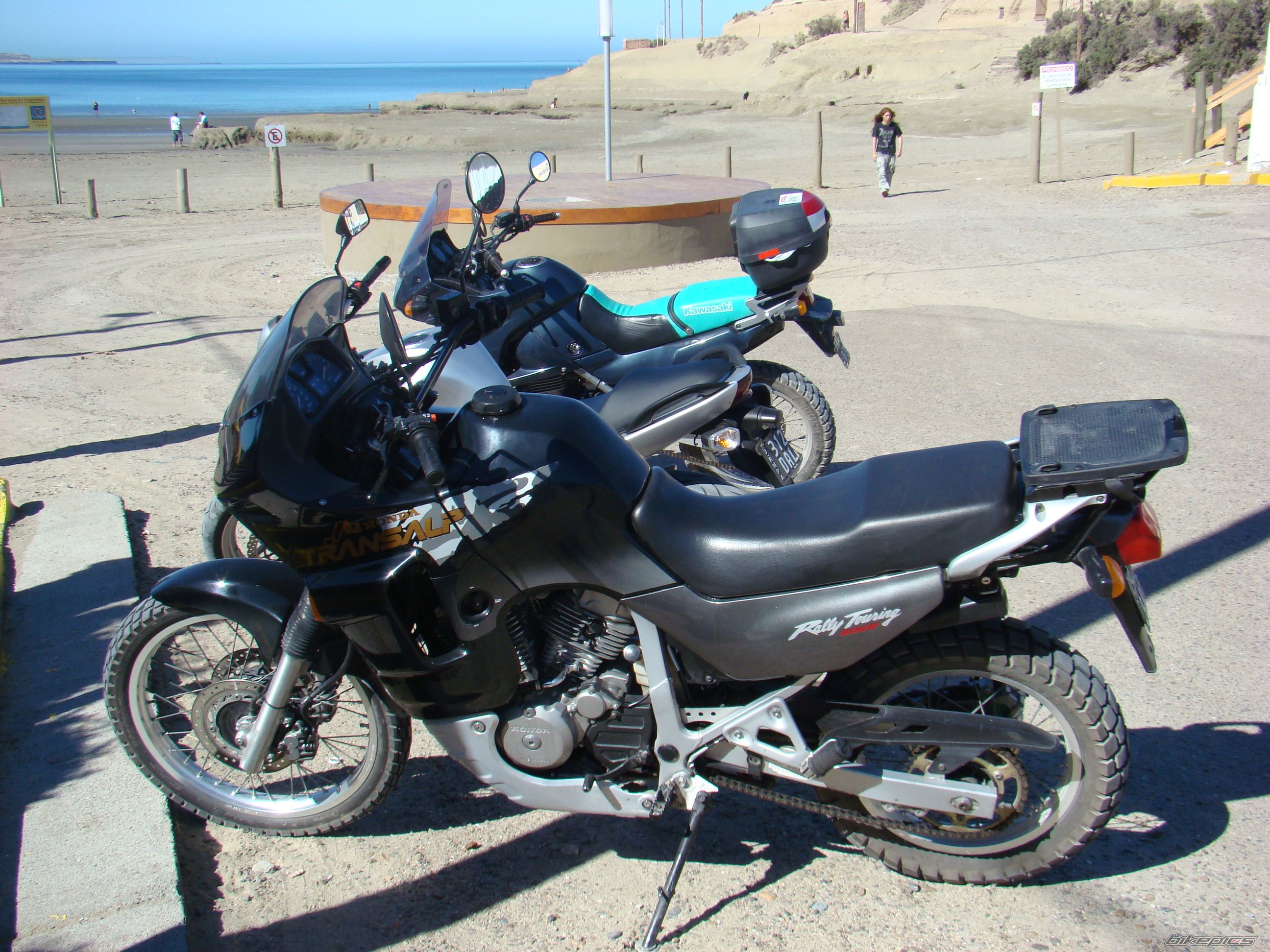 1998 HONDA TRANSALP RALLY TOURING | Picture 1616128 motorcycle photo