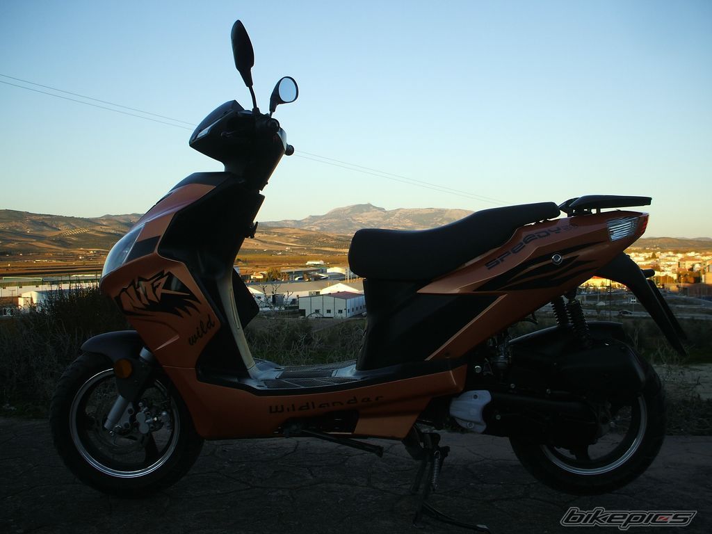 2008 APRILIA SR 50 | Picture 1616198 motorcycle photo