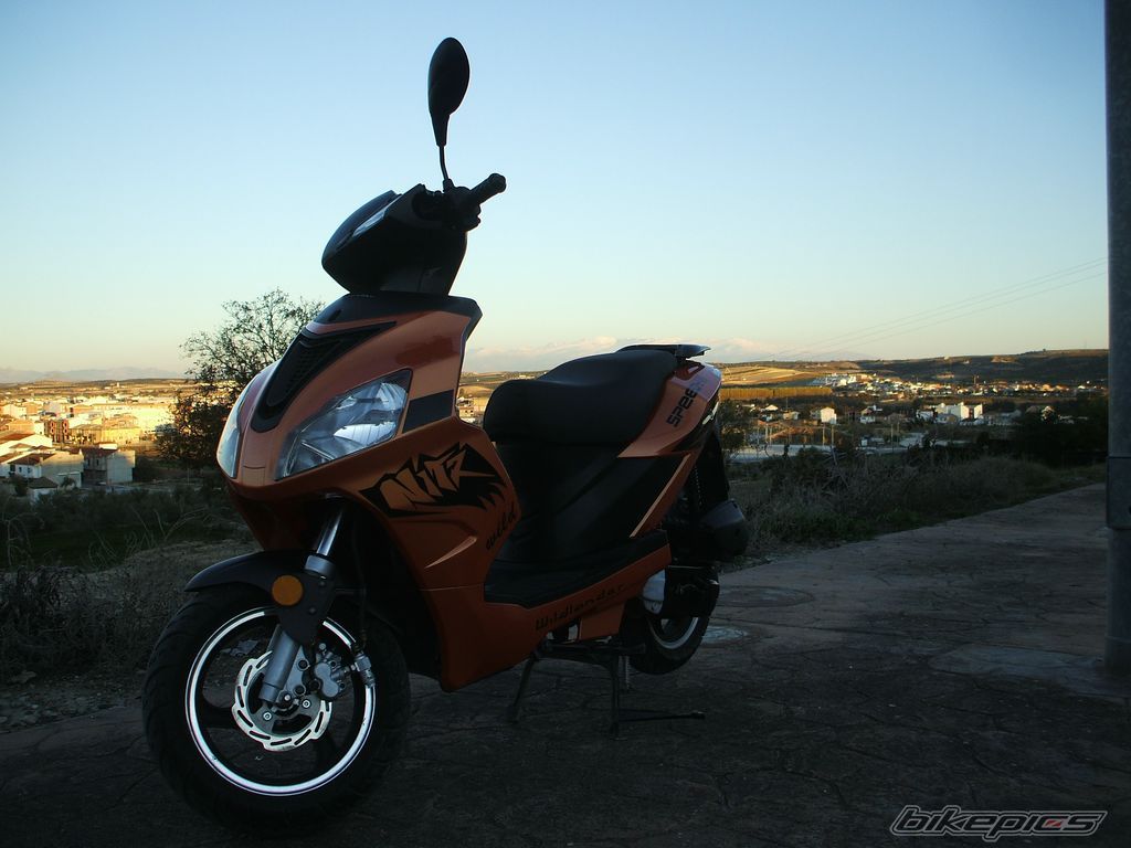 2008 APRILIA SR 50 | Picture 1616201 motorcycle photo