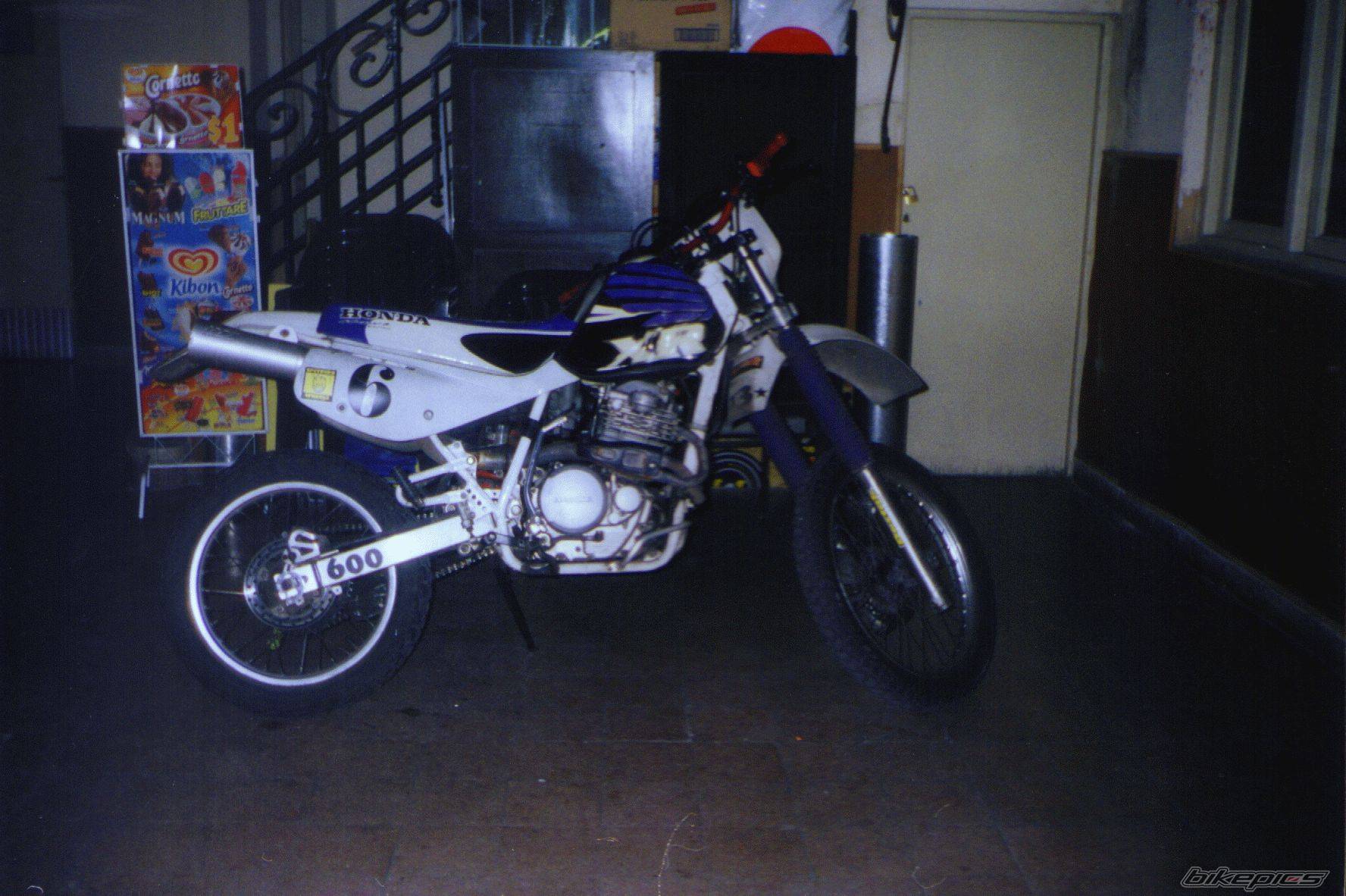 1993 HONDA XR 600 | Picture 161625 motorcycle photo