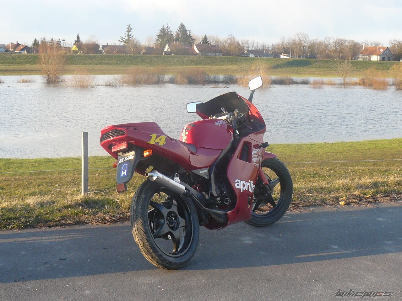 1996 APRILIA AF1 FUTURA 50 | Picture 1616322 motorcycle photo