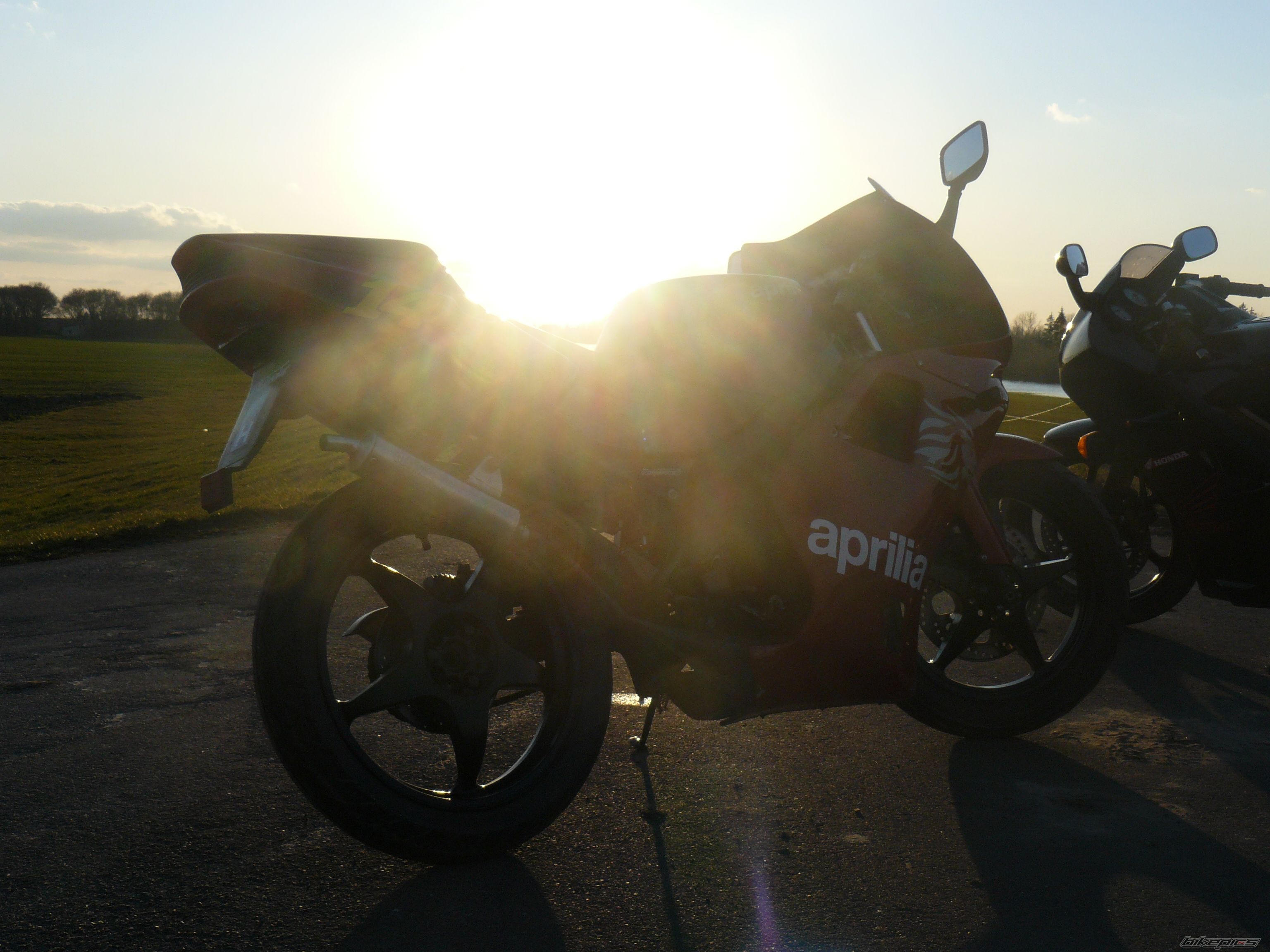 1996 APRILIA AF1 FUTURA 50 | Picture 1616345 motorcycle photo