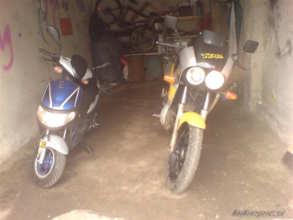 1998 YAMAHA TDR 125 | Picture 1616451 motorcycle photo