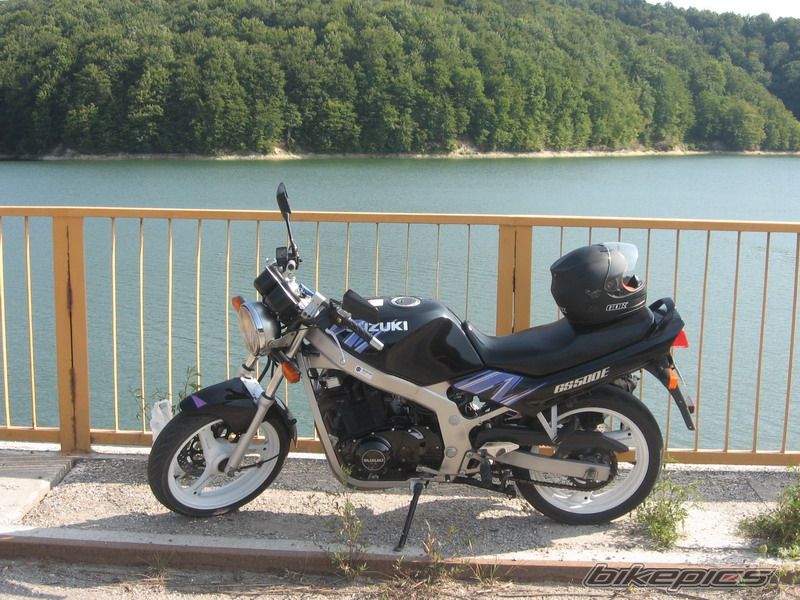 1994 SUZUKI GS 500 | Picture 1616729 motorcycle photo