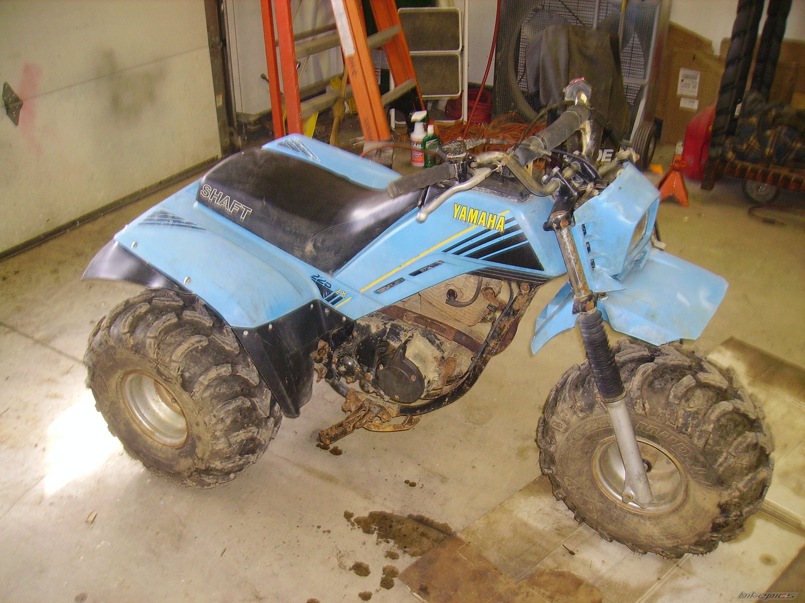 1984 YAMAHA YTM 225 | Picture 1616777 motorcycle photo