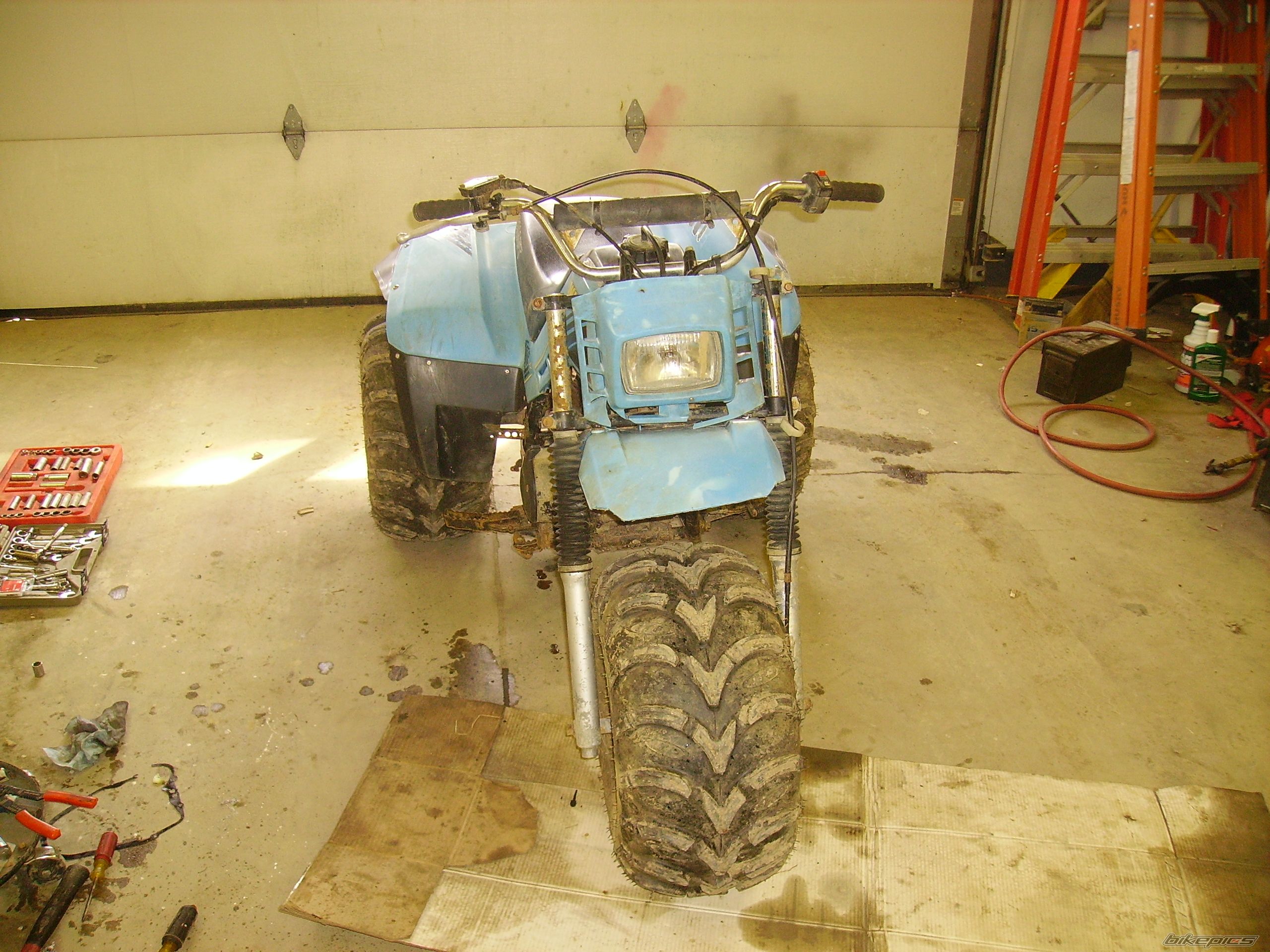 1984 YAMAHA YTM 225 | Picture 1616782 motorcycle photo