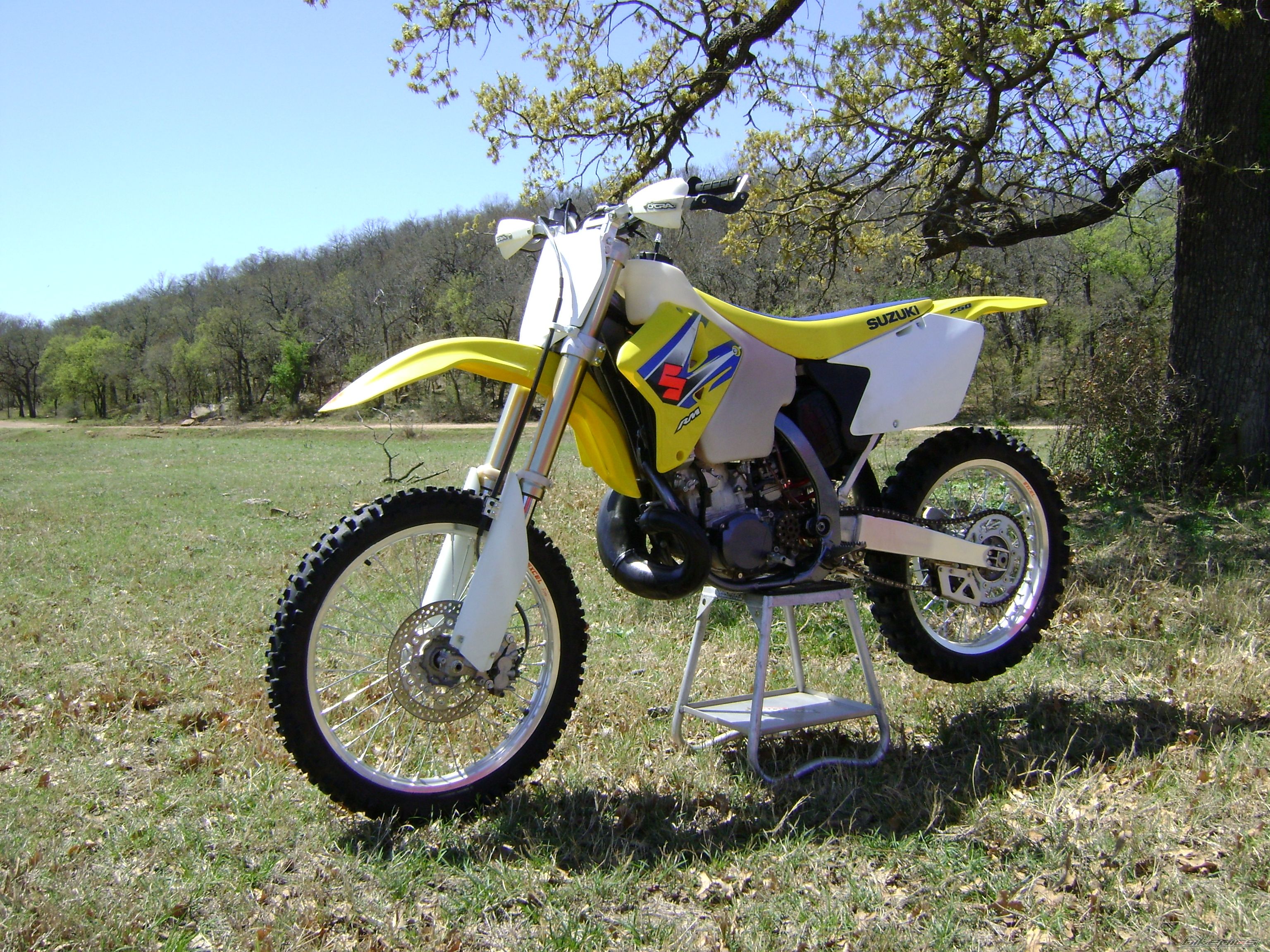2006 SUZUKI RM 250 | Picture 1617053 motorcycle photo
