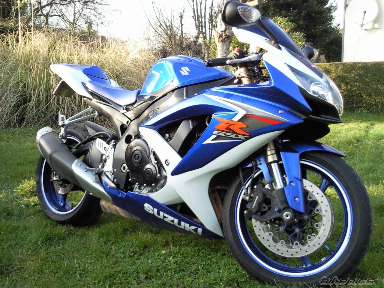 2008 SUZUKI GSX R 600 | Picture 1617360 motorcycle photo