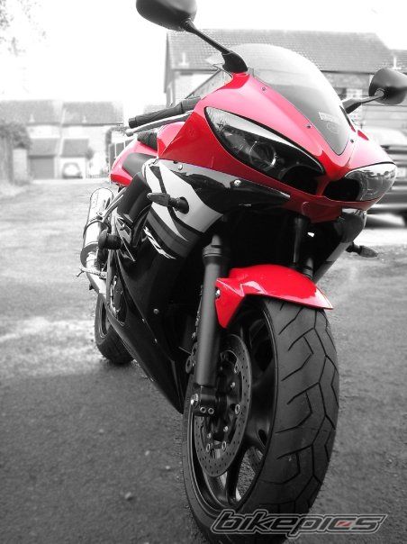 2004 YAMAHA YZF R6 | Picture 1618260 motorcycle photo