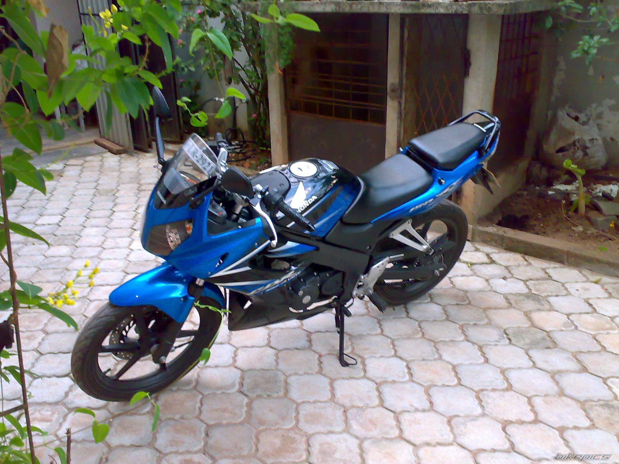 2008 HONDA CBR 150 | Picture 1618262 motorcycle photo
