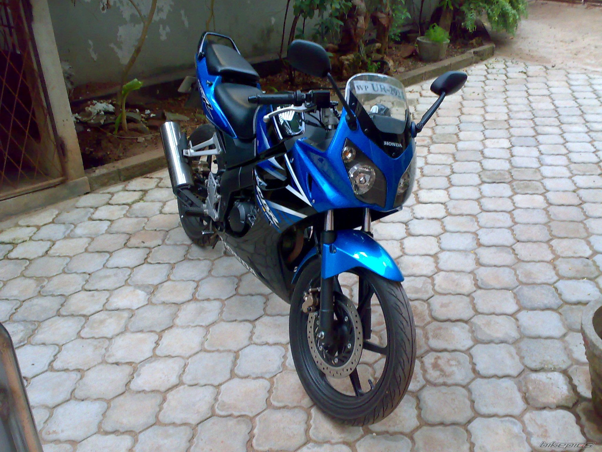 2008 HONDA CBR 150 | Picture 1618264 motorcycle photo