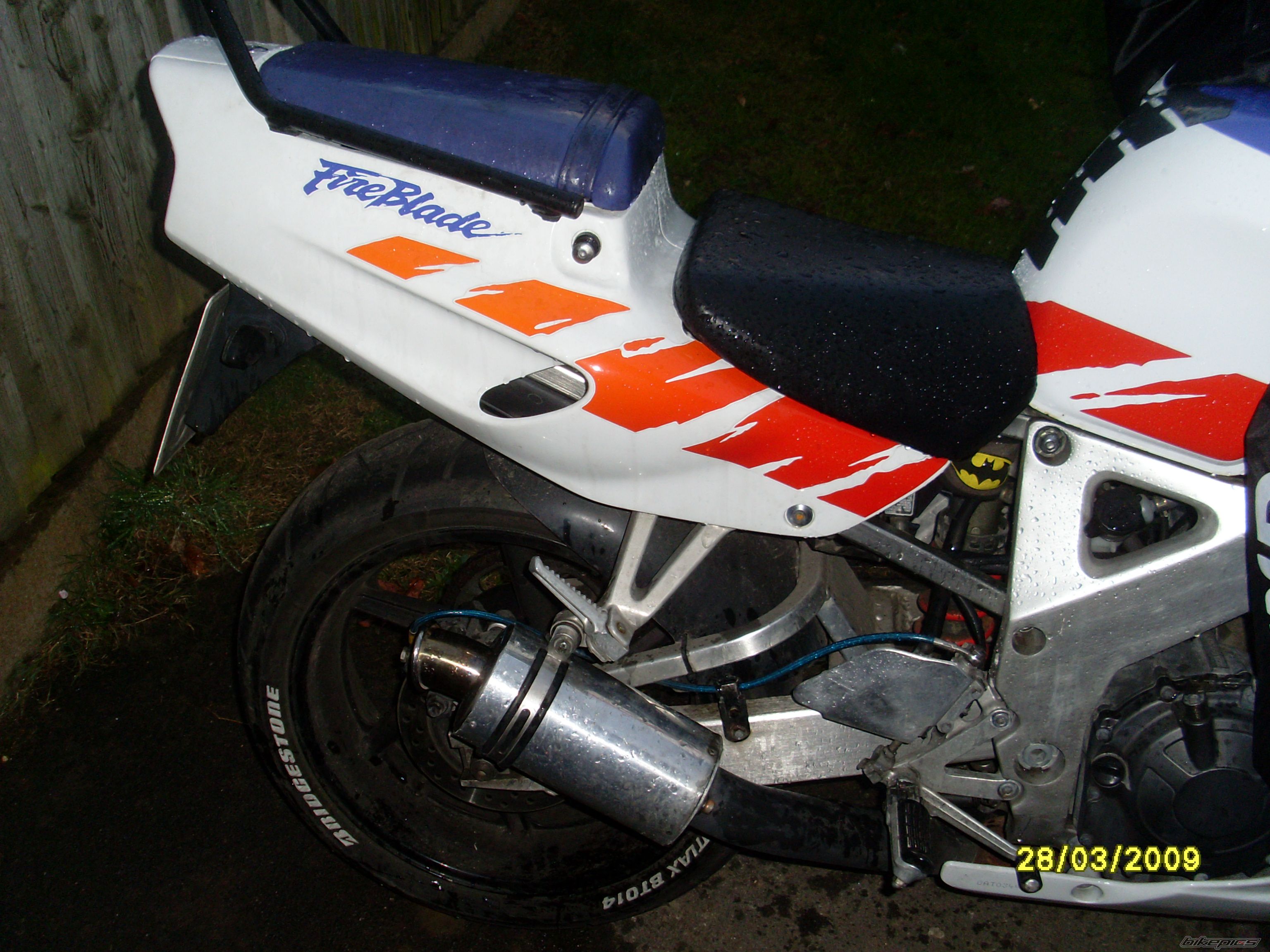 1992 HONDA CBR 900 | Picture 1618397 motorcycle photo