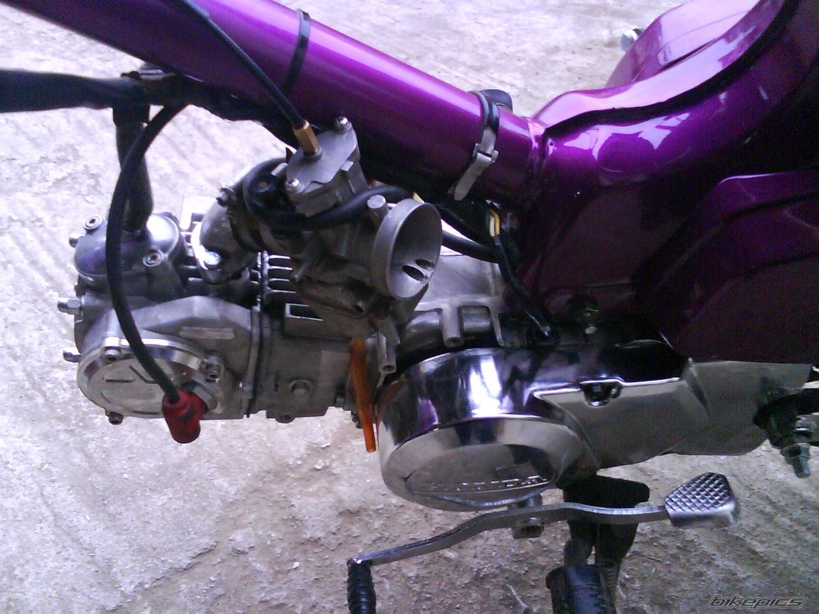 2008 YAMAHA Z 125 | Picture 1618518 motorcycle photo
