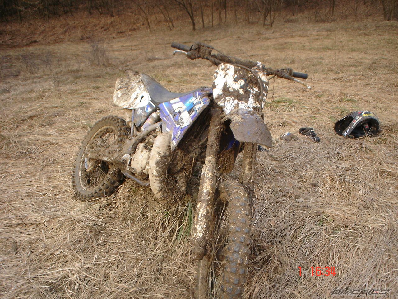 2001 YAMAHA YZ 125 | Picture 1618890 motorcycle photo