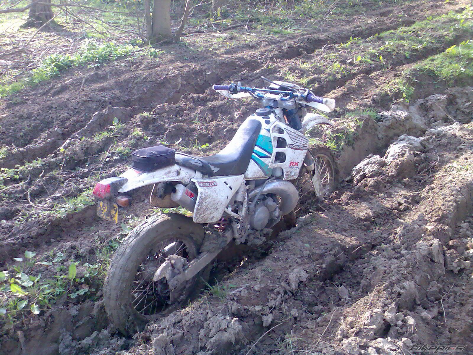 1992 HONDA CRM 250 | Picture 1619036 motorcycle photo