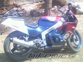 1992 HONDA CBR 250 | Picture 1619220 motorcycle photo