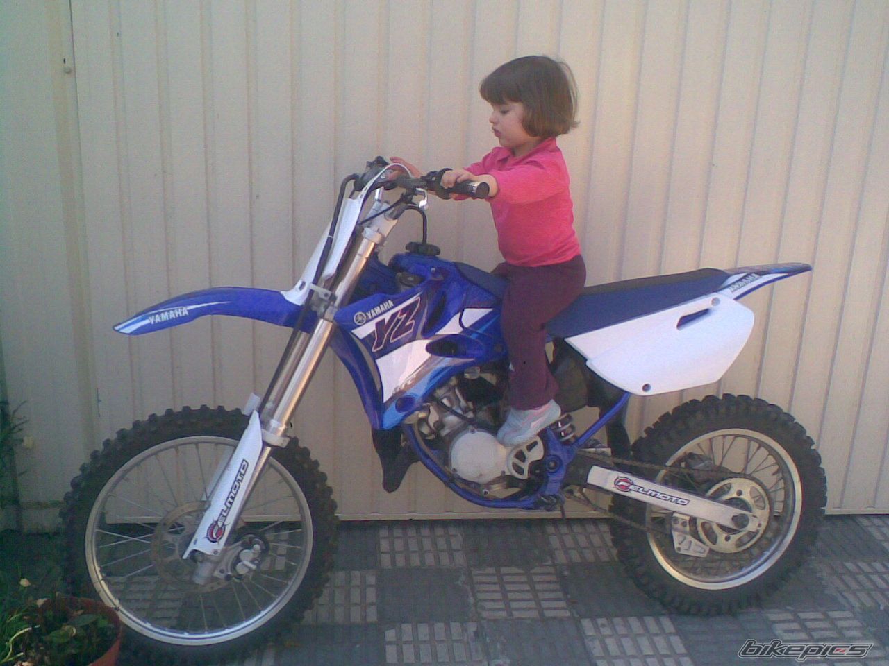 2009 YAMAHA YZ 85 | Picture 1619281 motorcycle photo