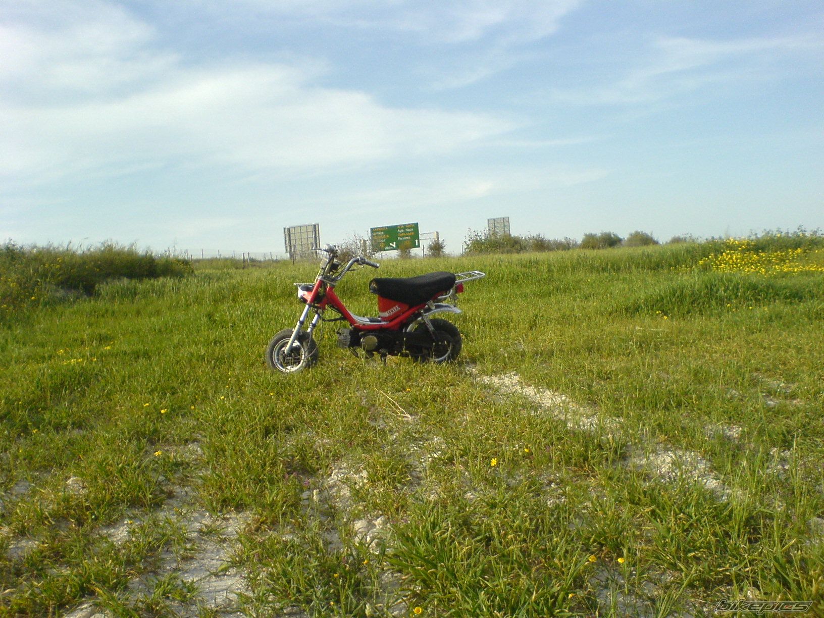 2008 YAMAHA LB 50 CHAPPY | Picture 1619335 motorcycle photo