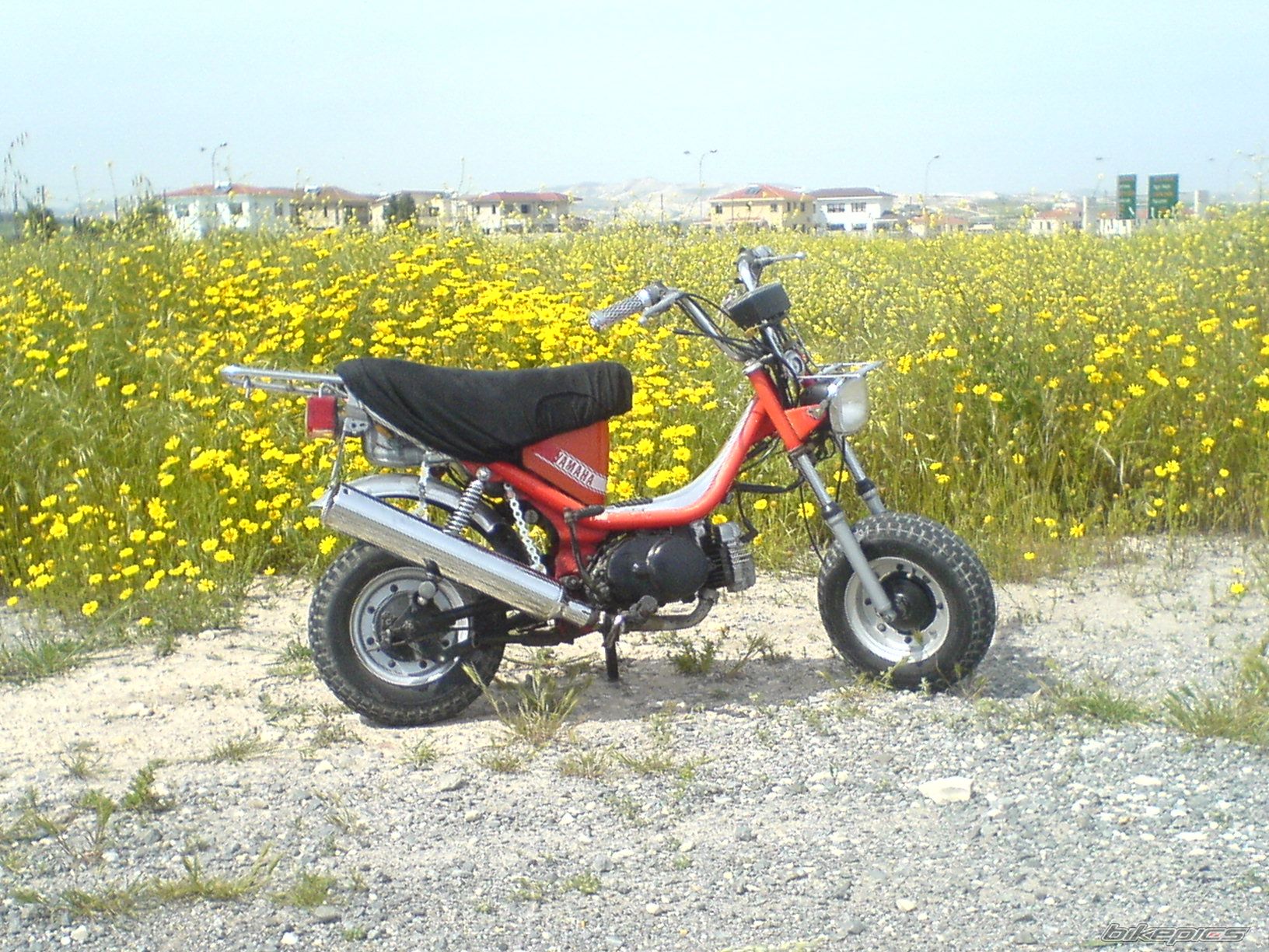 2008 YAMAHA LB 50 CHAPPY | Picture 1619340 motorcycle photo