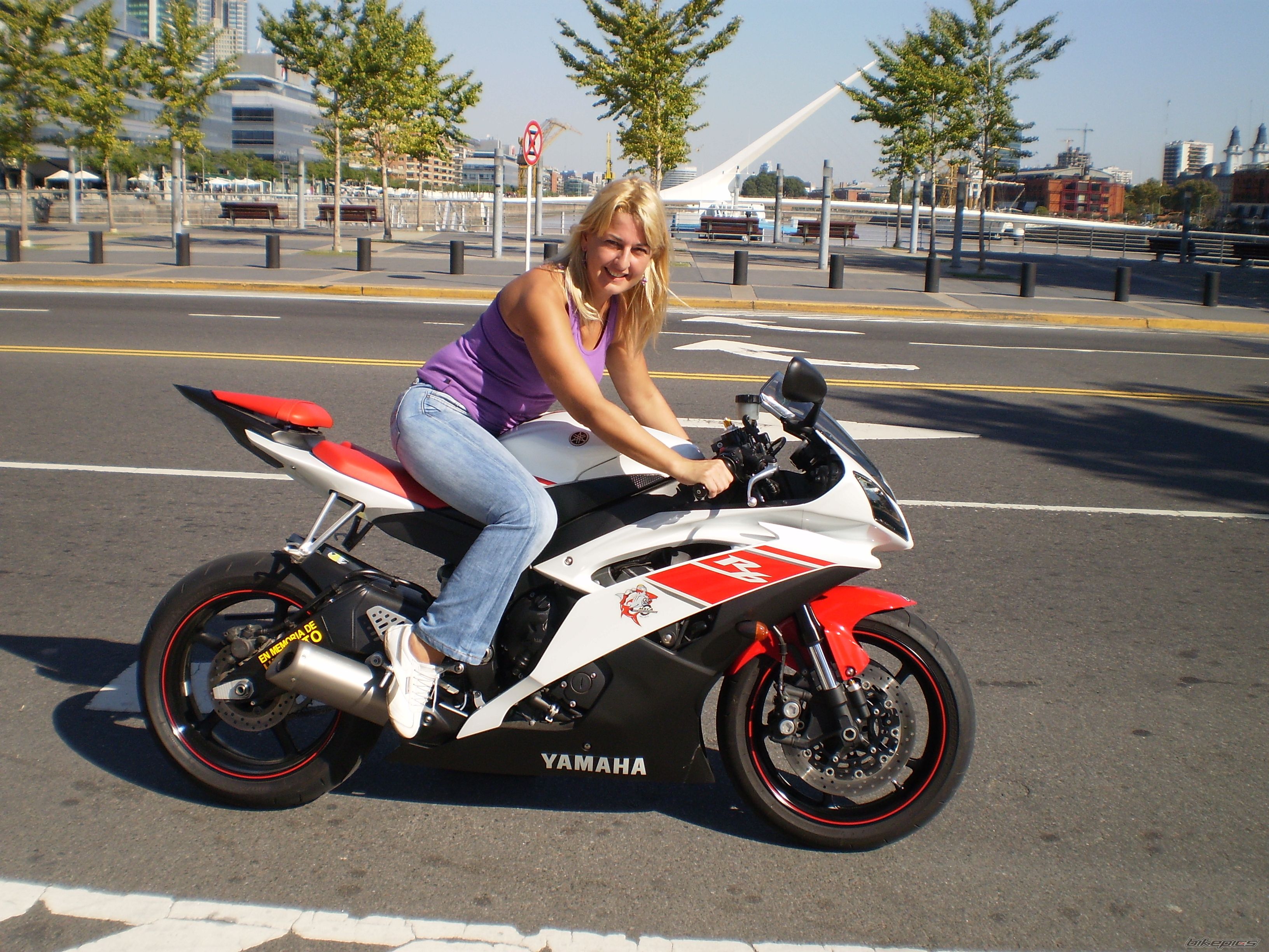 2008 YAMAHA YZF R6 | Picture 1619470 motorcycle photo