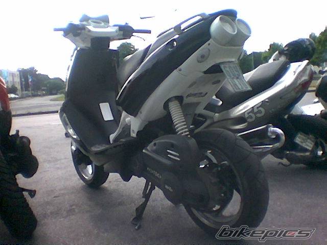 1996 PIAGGIO ZIP | Picture 162006 motorcycle photo