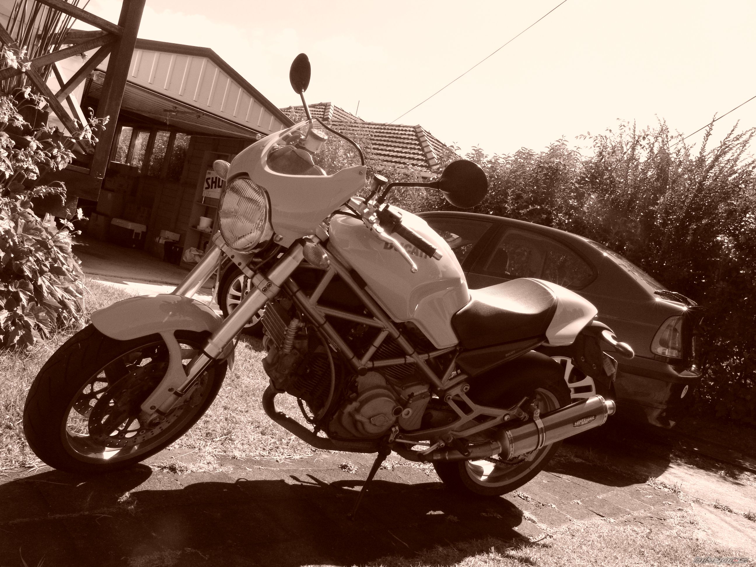 2004 DUCATI MONSTER 1000 | Picture 1620068 motorcycle photo