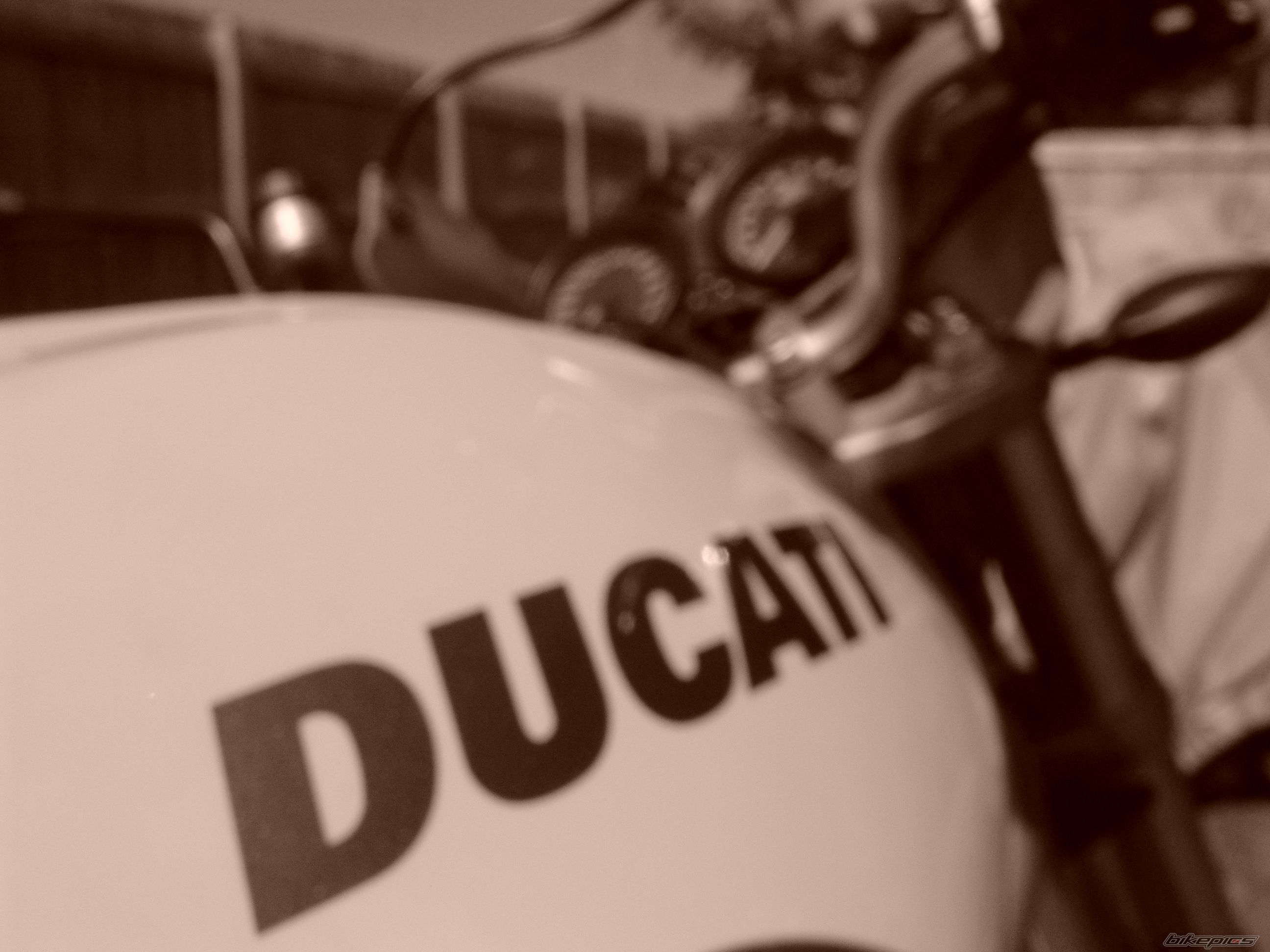2004 DUCATI MONSTER 1000 | Picture 1620069 motorcycle photo