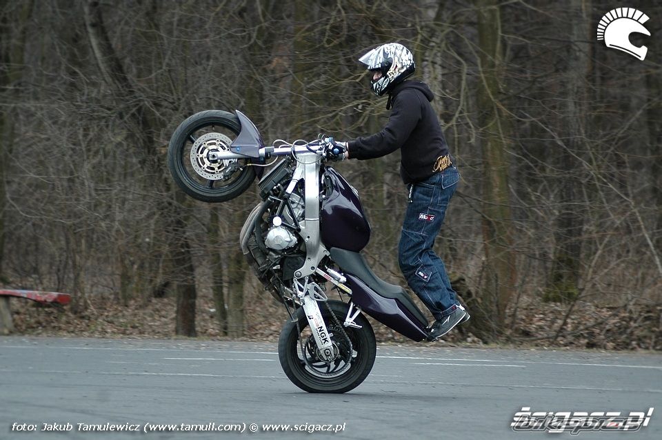 2001 HONDA CBR 600 | Picture 1620387 motorcycle photo