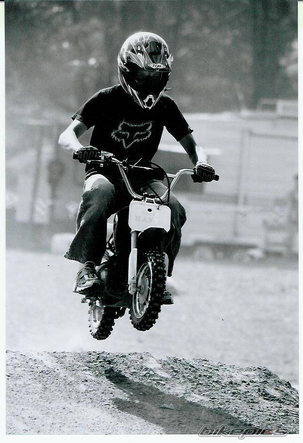 2004 HONDA CRF 50 | Picture 162085 motorcycle photo